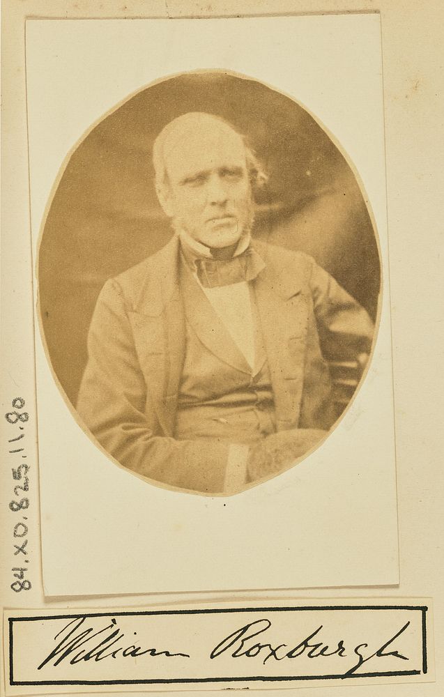 Portrait of William Roxburgh