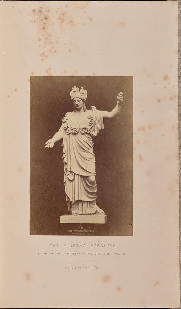 The Minerva Borghese by Edward Falkener