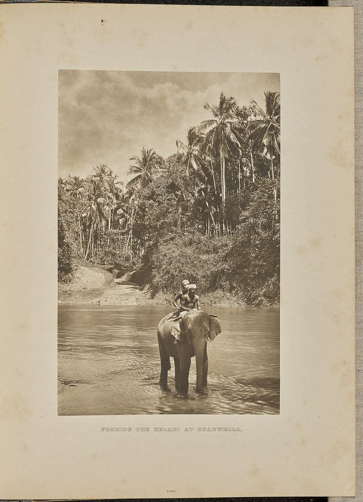Fording the Kelani at Ruanwella by Henry W Cave