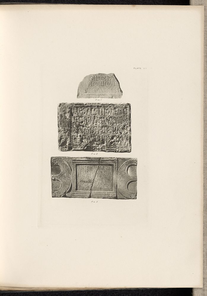 Plate VII by Thomas Annan
