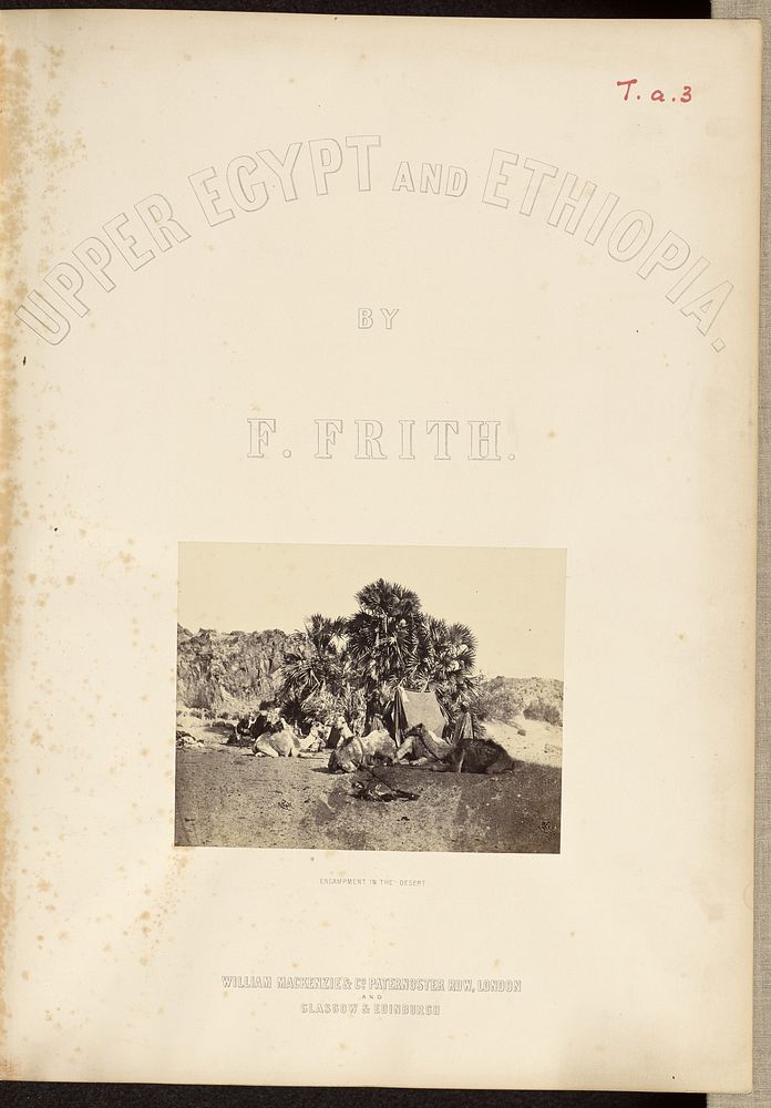Encampment in the Desert by Francis Frith