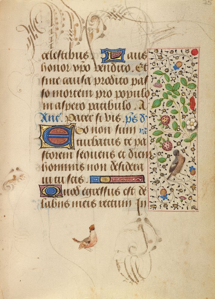 Decorated Text Page