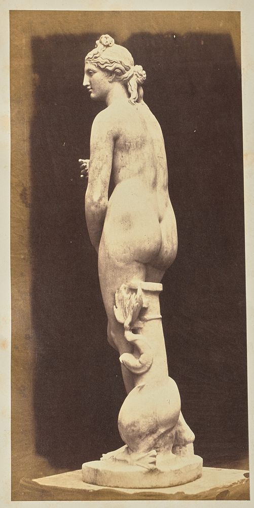 Venus by Pietro Dovizielli