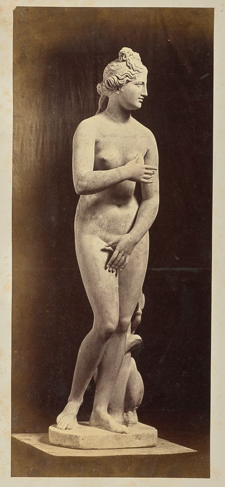 Venus by Pietro Dovizielli