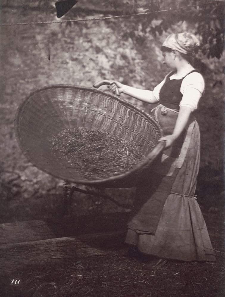 Female Peasant with Winnowing Basket