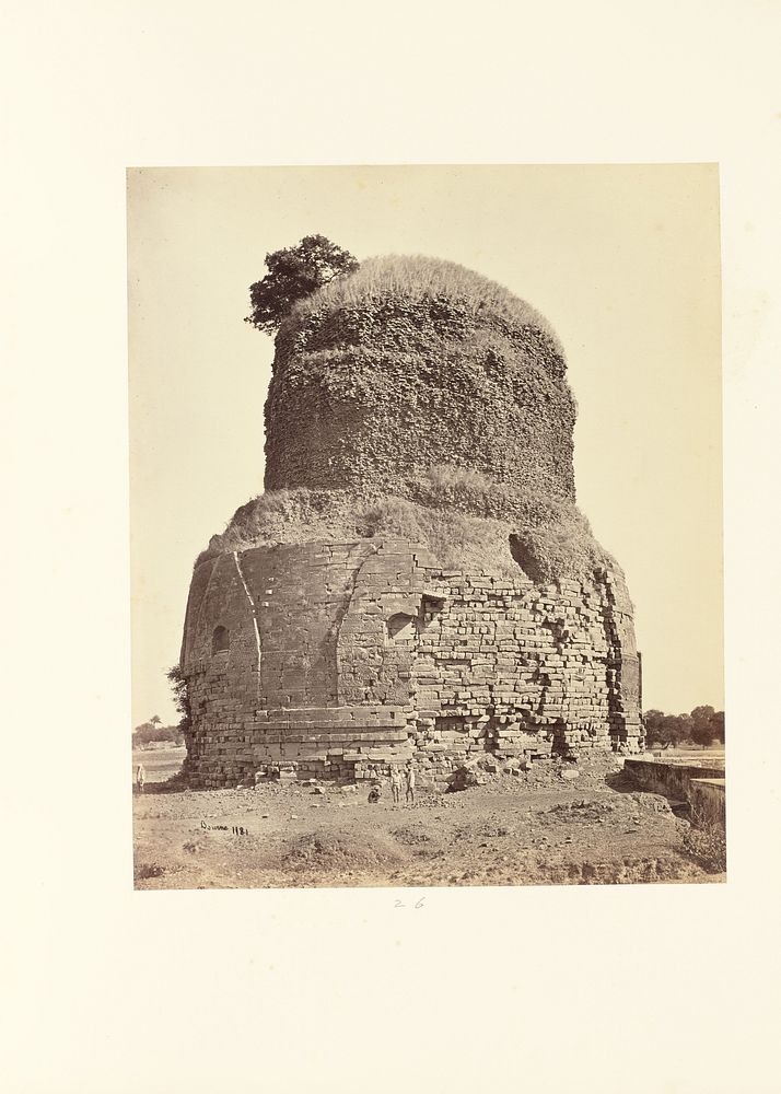 Benares; Ancient Bhuddist [sic] Tower at Sarnath by Samuel Bourne