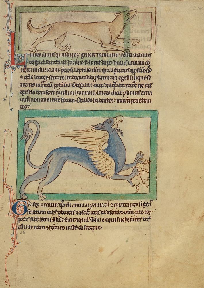 A Lynx; A Griffin
