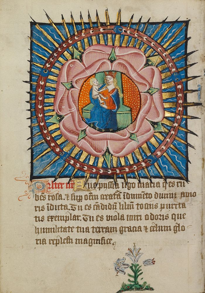 The Virgin and Child in a Pink Rose with a White Lily