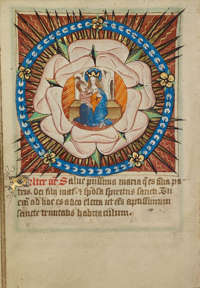 The Virgin and Child in a White Rose