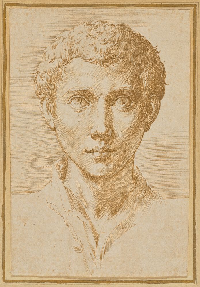 The Head of a Young Man by Parmigianino Francesco Mazzola