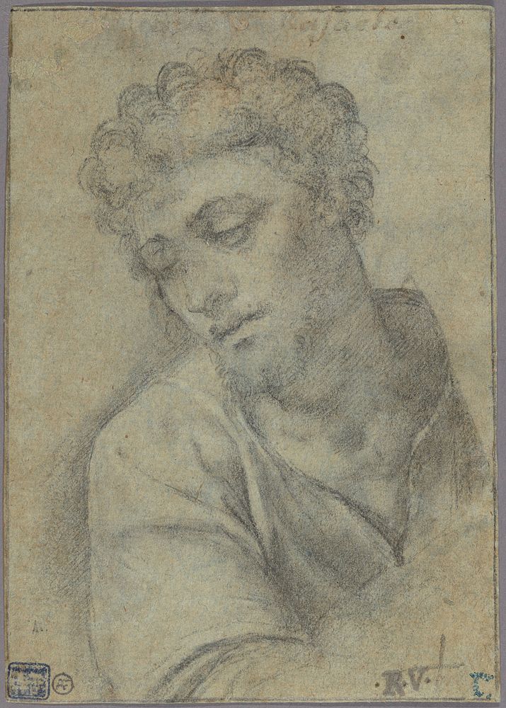 Study for the Figure of Christ Carrying the Cross by Sebastiano del Piombo