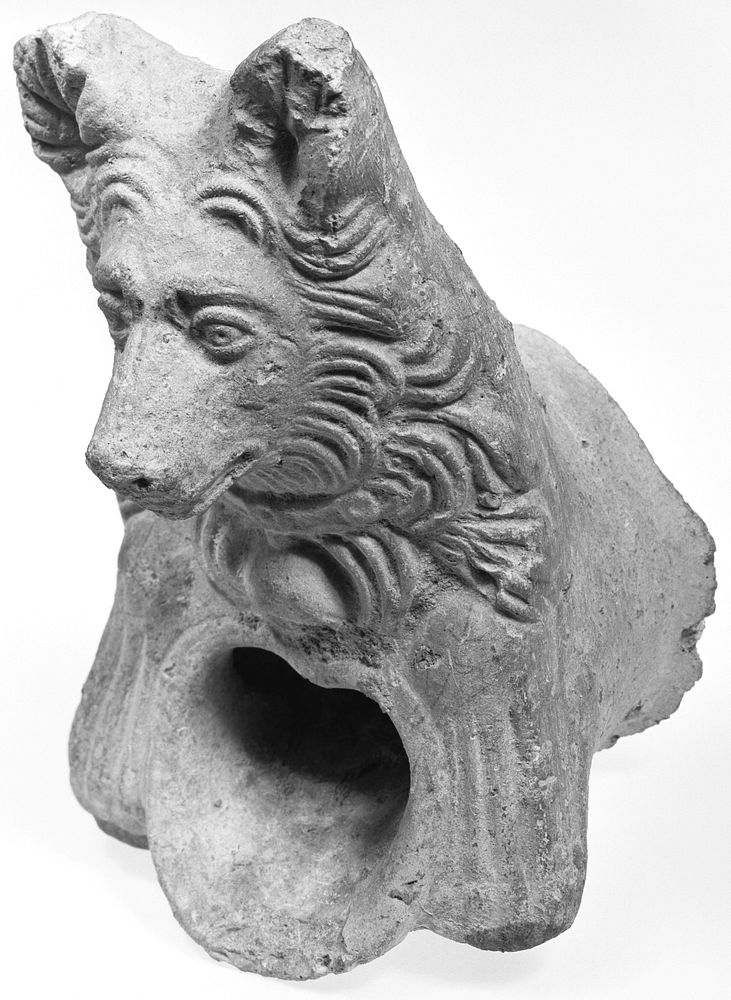 Water Spout Fragment in the Shape of a Dog