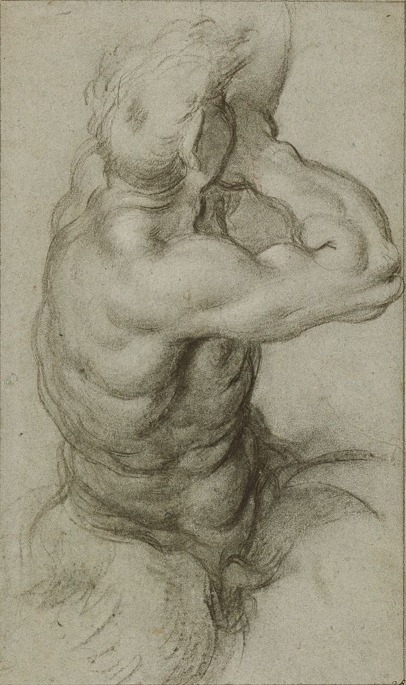 Study of Triton Blowing a Conch Shell (recto); Partial Study of an Arm (verso) by Annibale Carracci