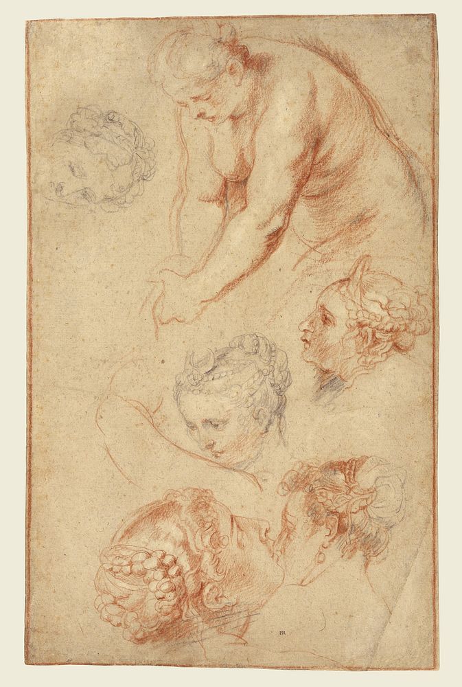 Studies of Women by Peter Paul Rubens