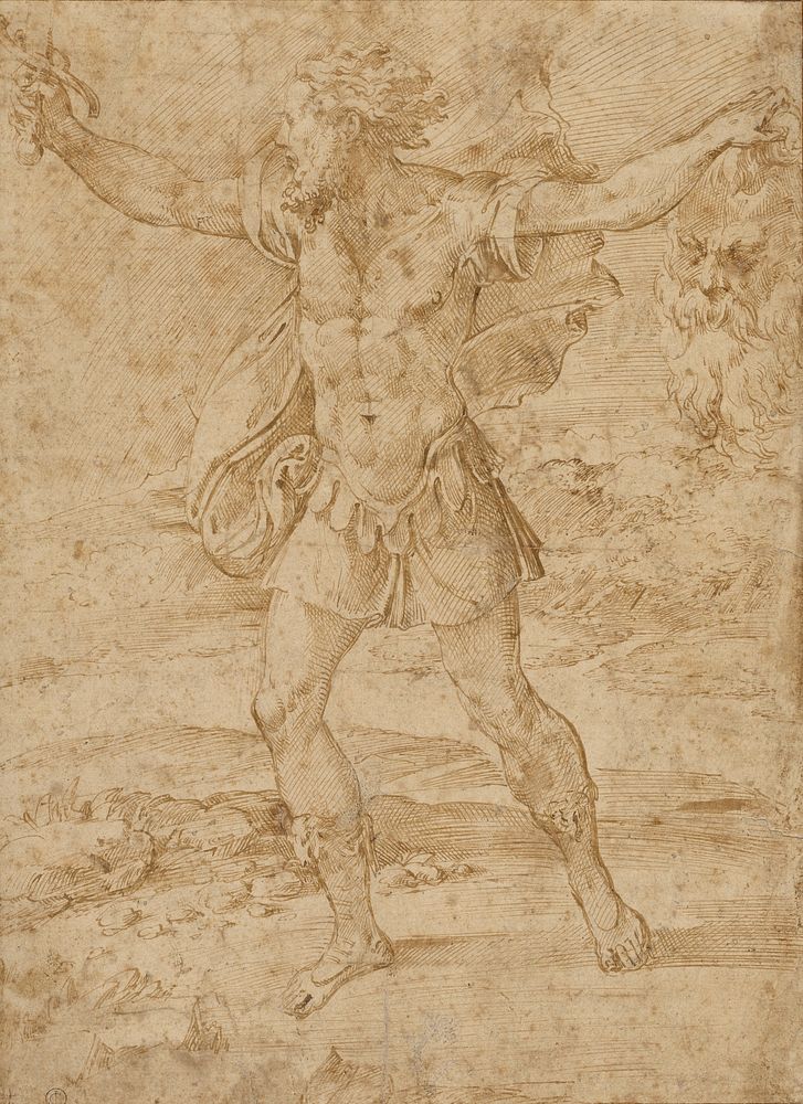 David with the Head of Goliath by Parmigianino Francesco Mazzola