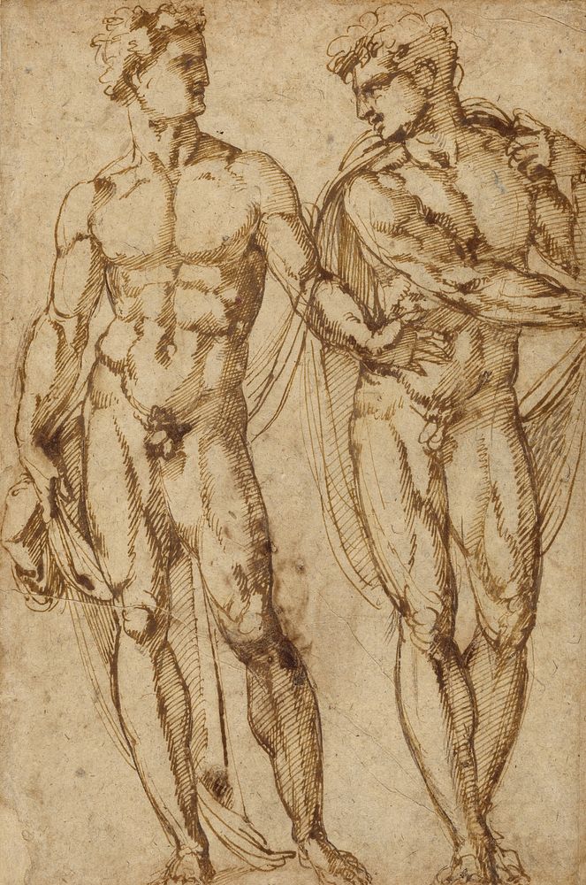 Study of Two Men (recto); Study of the Head of a Bearded Man (verso) by Baccio Bandinelli