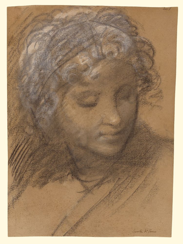 Head of a Female Figure (recto); Female Nude (verso) by Giulio Cesare Procaccini
