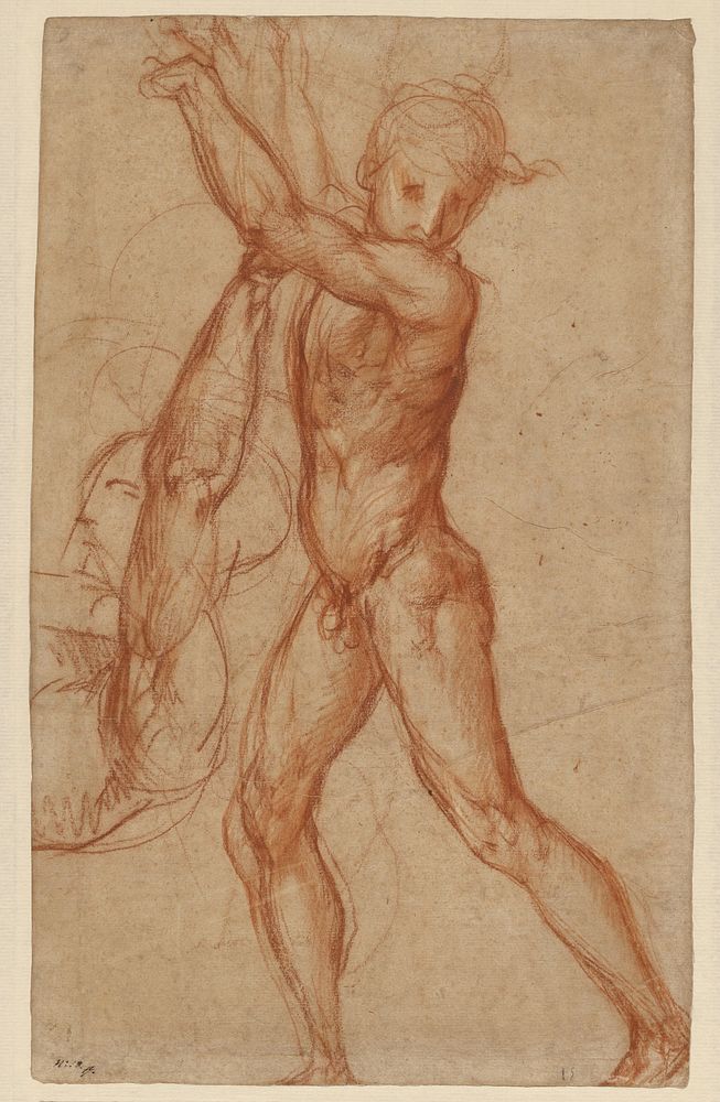 Study of a Nude Boy, Partial Figure Study (recto); Study of a Seated Man (verso) by Pontormo Jacopo Carucci