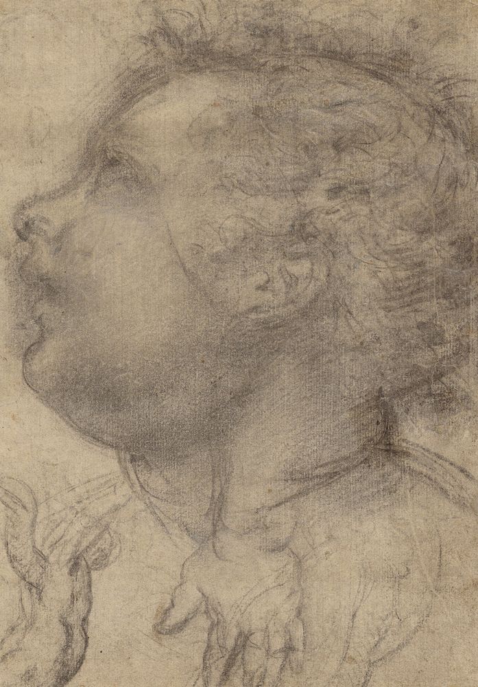 Head of a Child, an Angel and a Hand (recto); Male Figure (verso) by Fra Bartolommeo Baccio della Porta