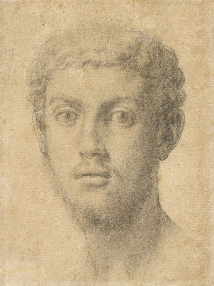 Head of a Man by Agnolo Bronzino