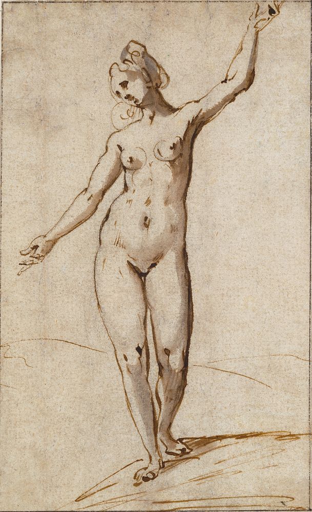 Female Nude by Karel van Mander