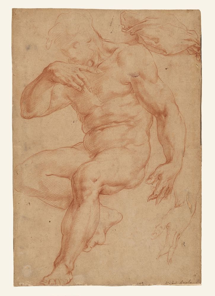 Studies of a Male Nude, a Drapery, and a Hand by Giorgio Vasari