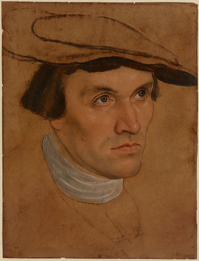 Portrait of a Man by Lucas Cranach the Elder