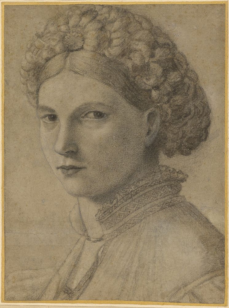 Portrait of a Young Woman by Andrea Previtali