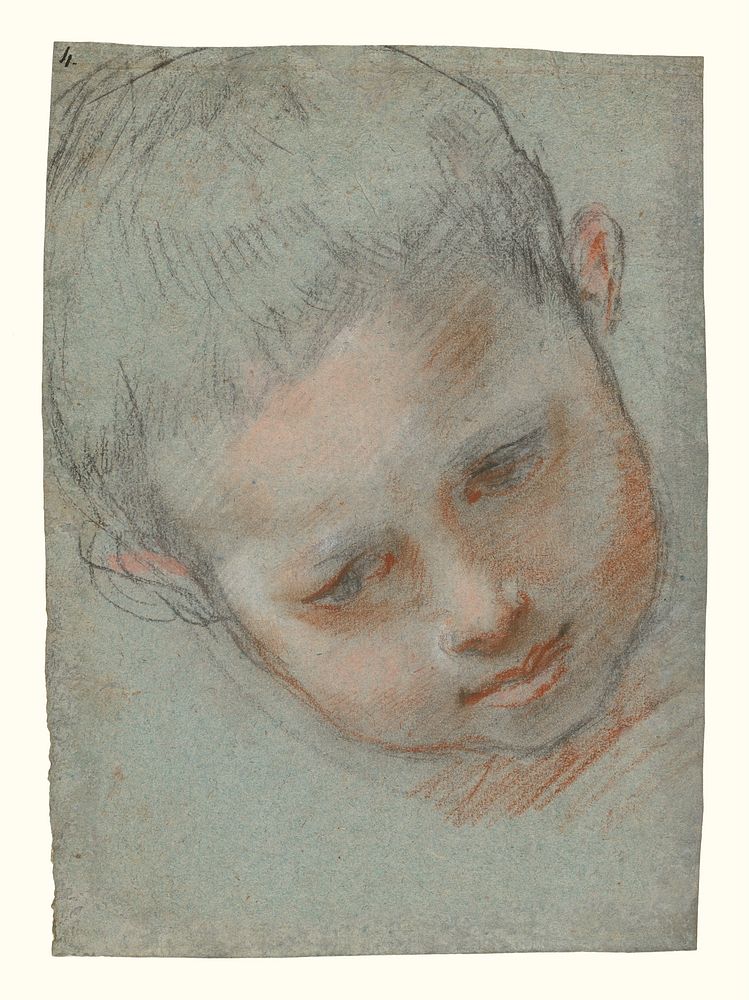 Head of a Boy (recto); Figure Studies (verso) by Federico Barocci