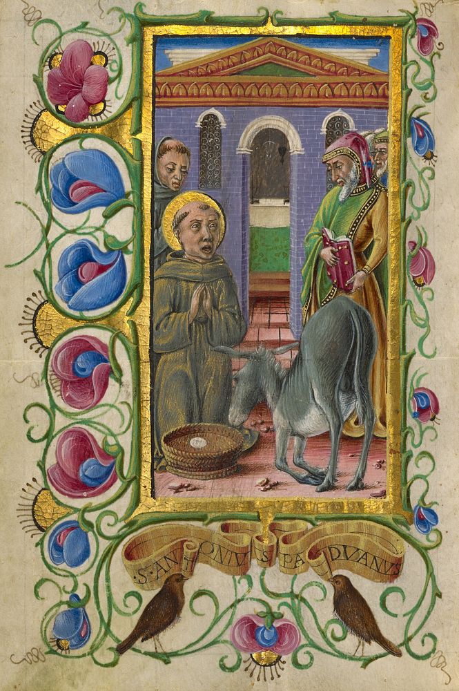 Saint Anthony of Padua by Taddeo Crivelli