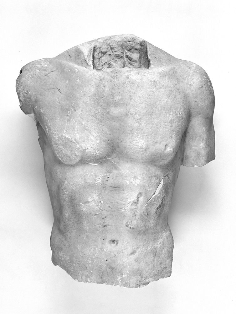 Torso of a Male Statue