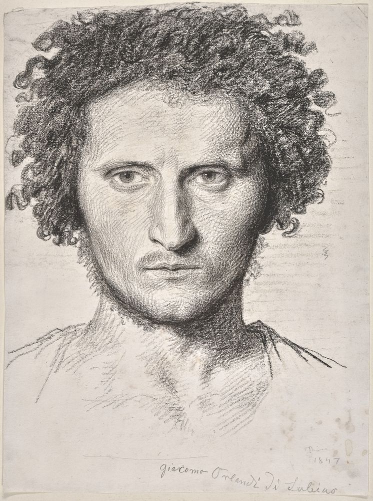 Study of the Head of a Young Man (Giacomo Orlandi di Subiaco) by Johannes Niessen