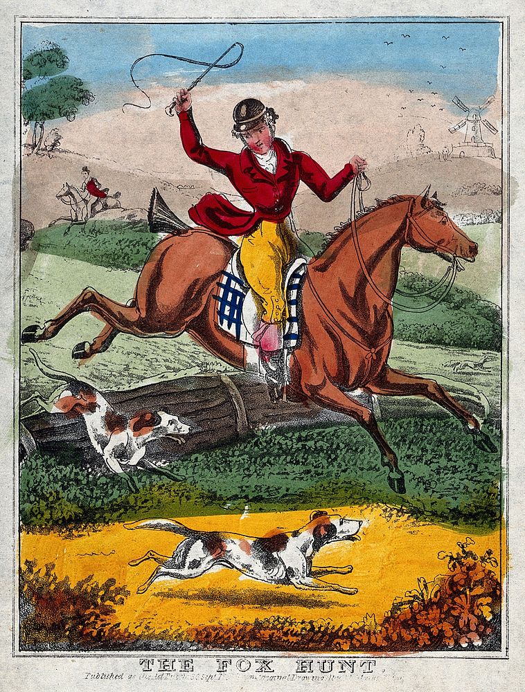 A rider charging over a hurdle followed by two dogs. Coloured lithograph.