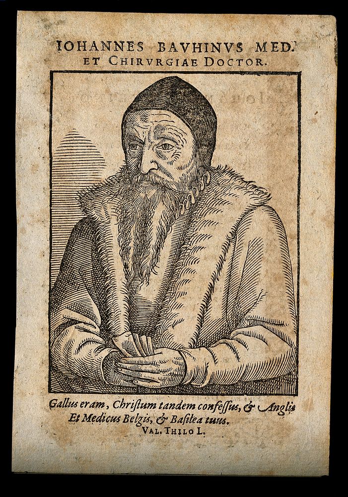 Johann Bauhin. Woodcut, 1589.