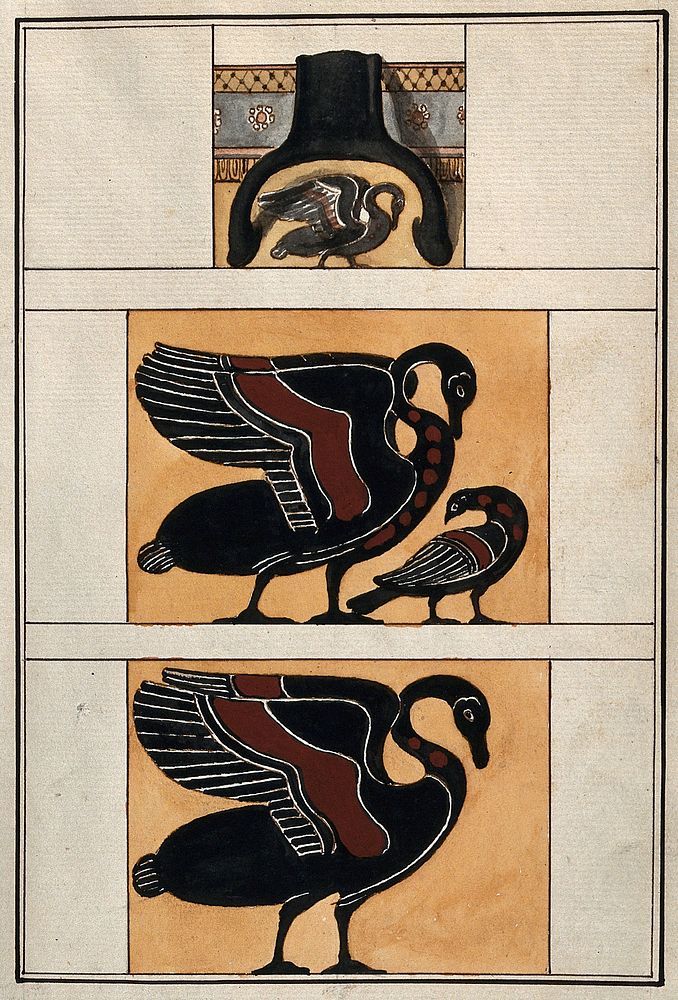 Above, detail of the handle of a black-figured Greek vase; middle, stylised swan and cygnet; below, stylised swan.…
