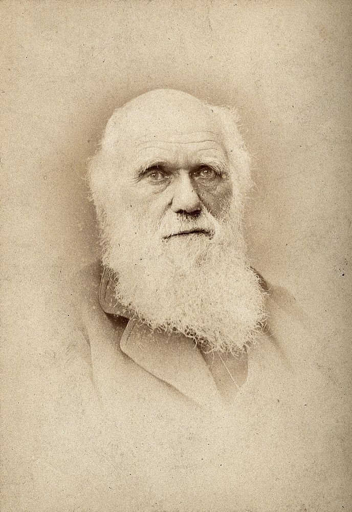 Charles Robert Darwin. Photograph by Barraud.