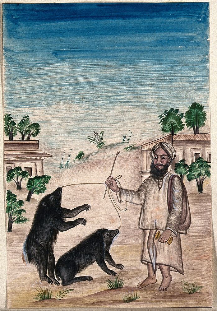 A street entertainer makes two sloth bears on a lead, dance to music as part of an act. Gouache painting by an Indian artist.