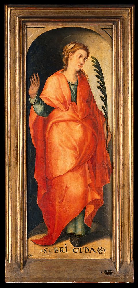 Saint Brigid . Oil painting by an Italian  painter, 16th century.