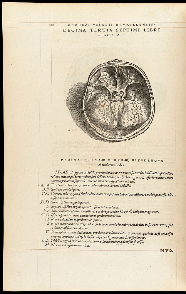Andreae Vesalii Bruxellensis, scholae medicorum Patauinae professoris De humani corporis fabrica libri septem.