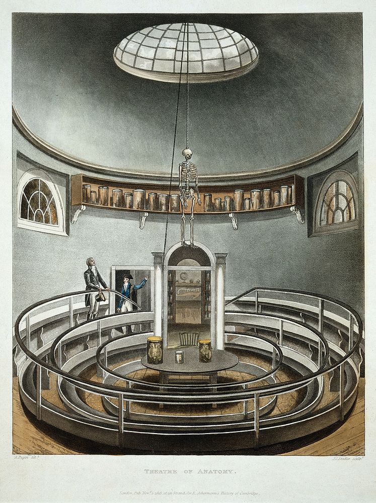 A sky-lit anatomy theatre with anatomical specimens in jars and a suspended skeleton. Colour acquatint by J. C. Stadler…