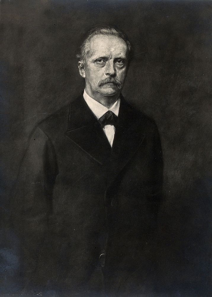 Hermann Ludwig Ferdinand von Helmholtz. Photograph by W.J. Stacey .