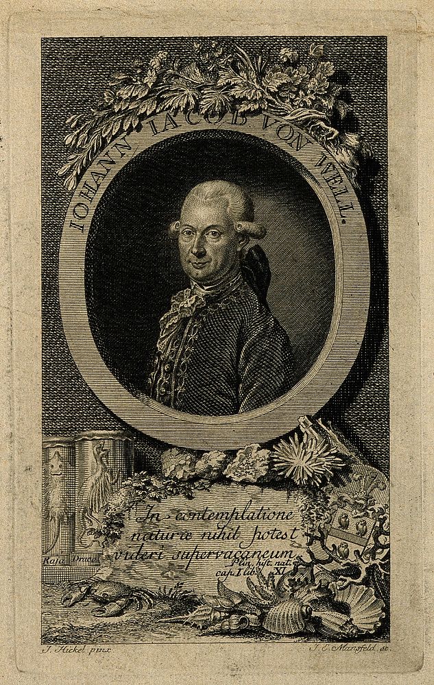 Johann Jacob von Well. Line engraving by J.E. Mansfeld after J. Hickel.