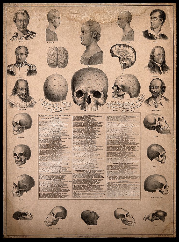Phrenological chart with portraits of historical figures and illustrations of skulls exhibiting racial characteristics.…