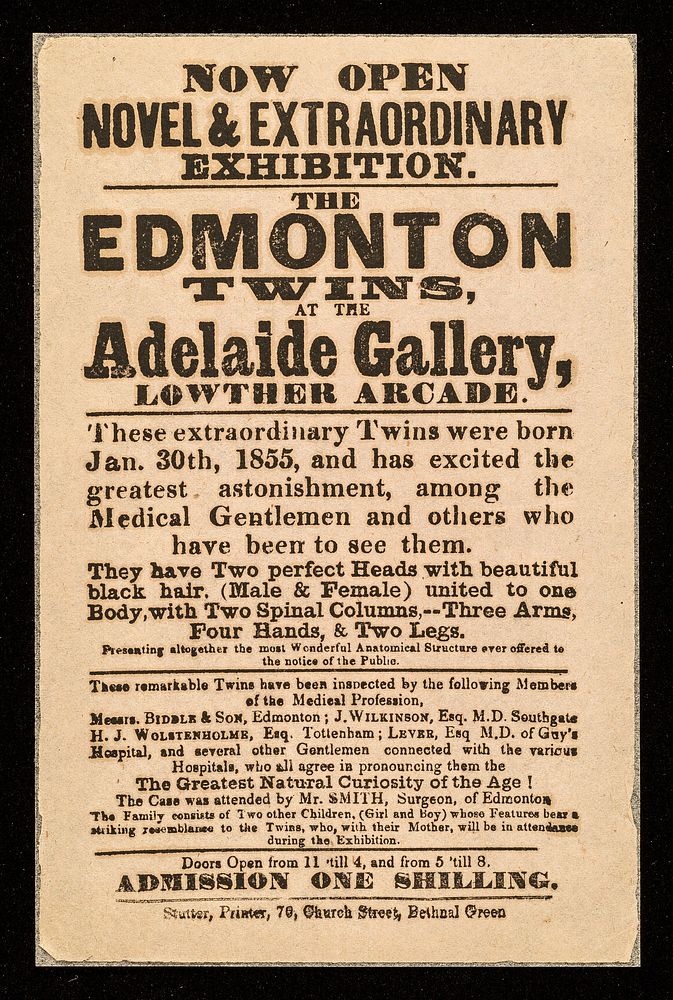 [Handbill advertising The Edmonton twins: conjoined twins on exhibition at the Adelaide Gallery in the Lowther Arcade…