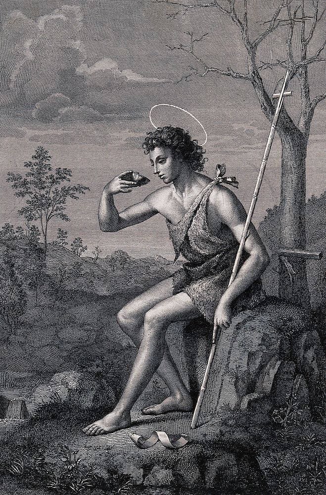 Saint John the Baptist as a youth, in wilderness. Engraving by F. Rosaspina after G. Bugiardini.
