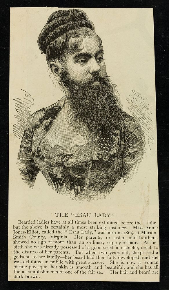 [Undated, illustrated (cutting leaflet) about bearded Annie Jones-Elliot, "The Esau Lady"].