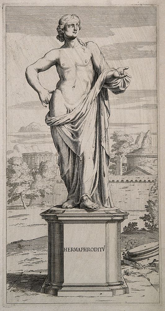 A sculpture of Hermaphroditus, with the Colosseum in the background. Engraving.