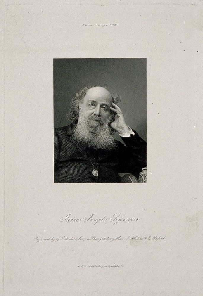 James Joseph Sylvester. Stipple engraving by G. J. Stodart after Messrs J. Stilliard & Co.