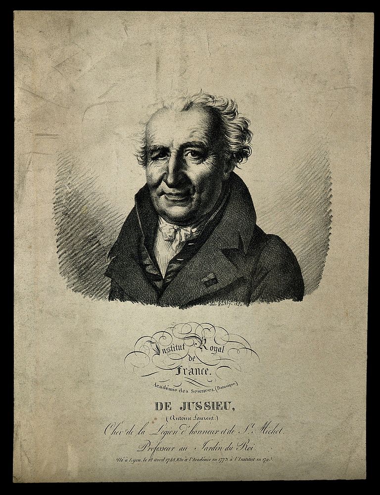 Antoine Laurent de Jussieu. Lithograph by J. Boilly, 1820.