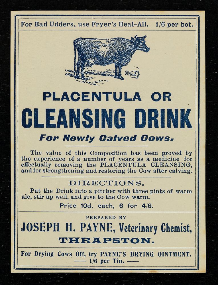 Placentula, or Cleansing drink for newly calved cows... / prepared by Joseph H. Payne.